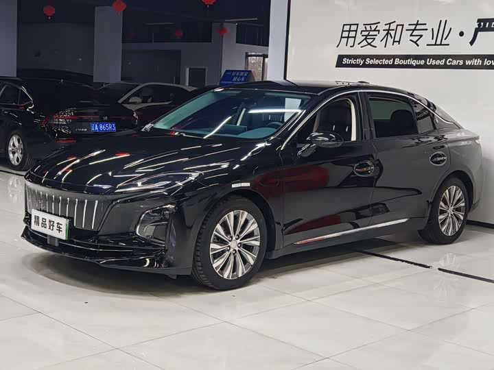 Hongqi E-QM5 2024 2024款 450km 出行版
