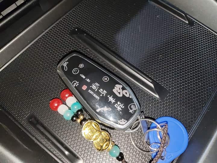 BYD Qin Plus 2025 2025款 DM-i 智驾版 55KM领先型