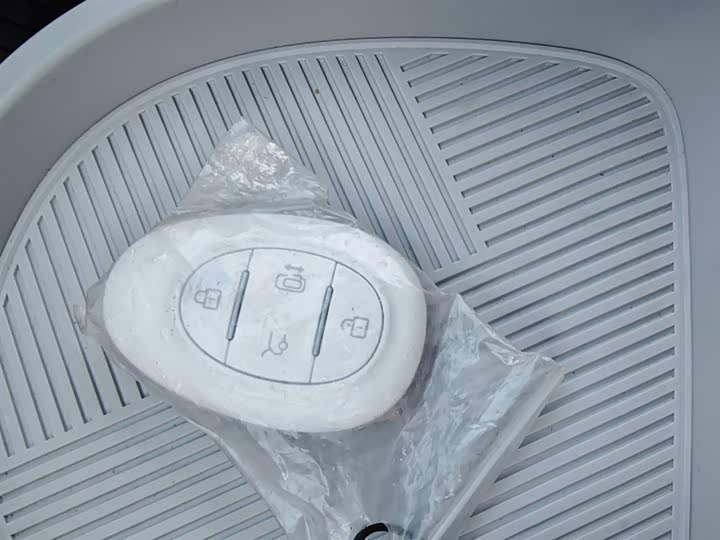 BAIC Arcfox Kaola S 2024 2024款 AIR