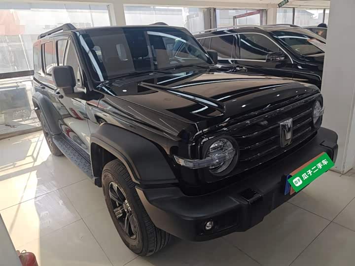 Tank 300 2024 2024款 2.0T 挑战者