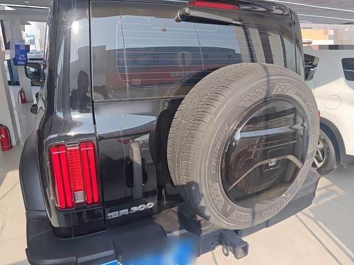 Tank 300 2024 2024款 2.0T 挑战者