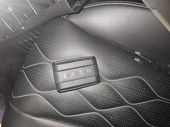 Tank 300 2024 2024款 2.0T 挑战者