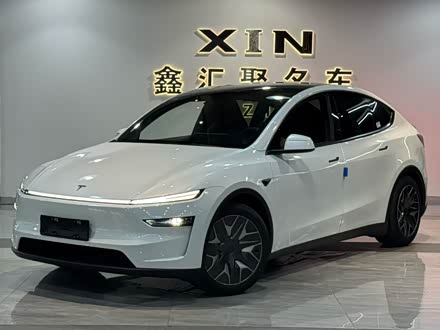 Tesla Model Y 2025 2025款 长续航全轮驱动版