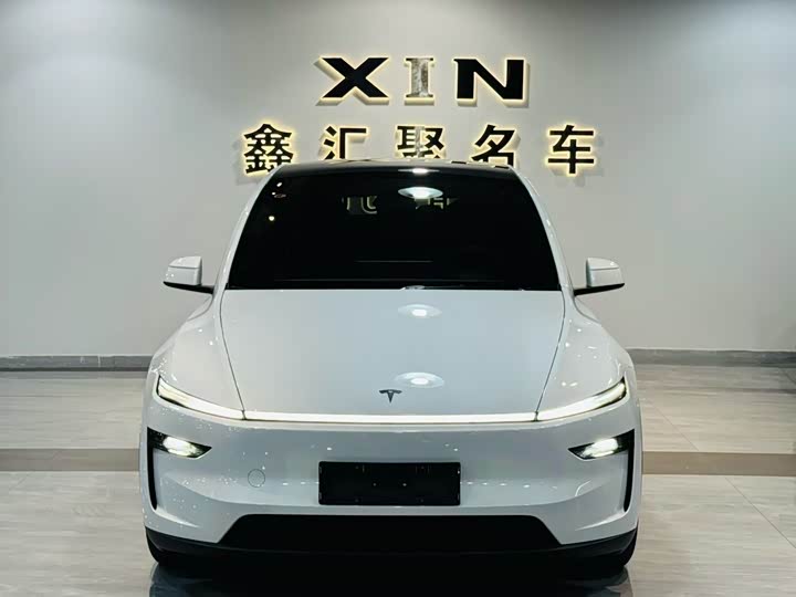 Tesla Model Y 2025 2025款 长续航全轮驱动版