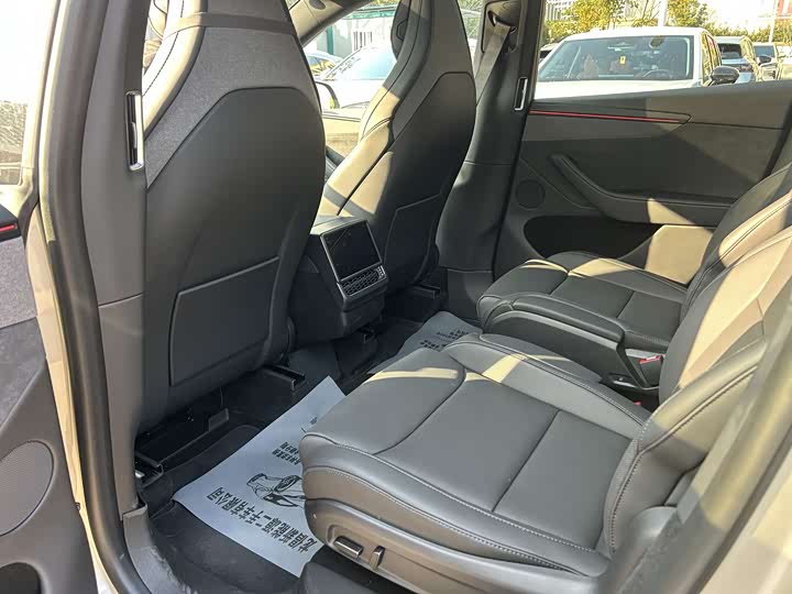 Tesla Model Y 2025 2025款 长续航全轮驱动版