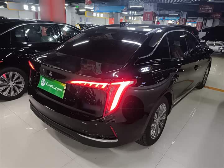 Hongqi E-QM5 2024 2024款 500km 出行版