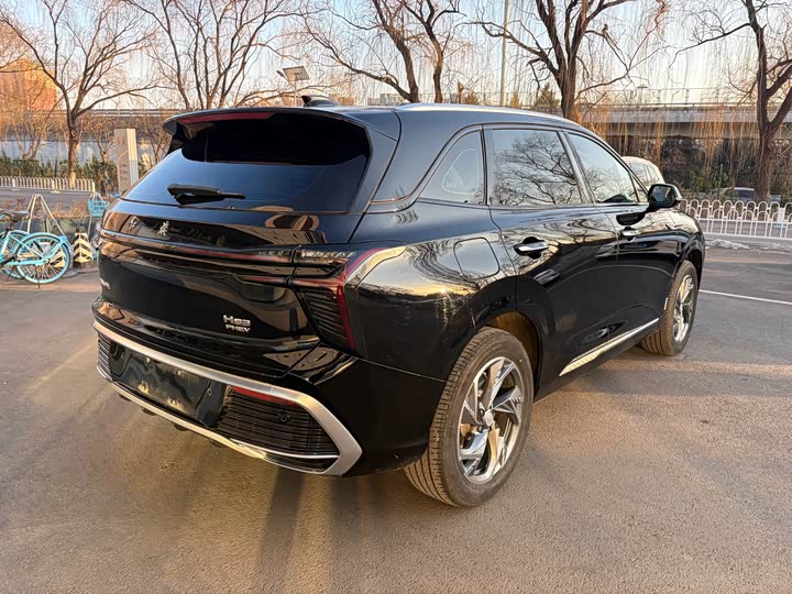 Hongqi HS3 Hybrid 2024 2024款 115km 劲为版