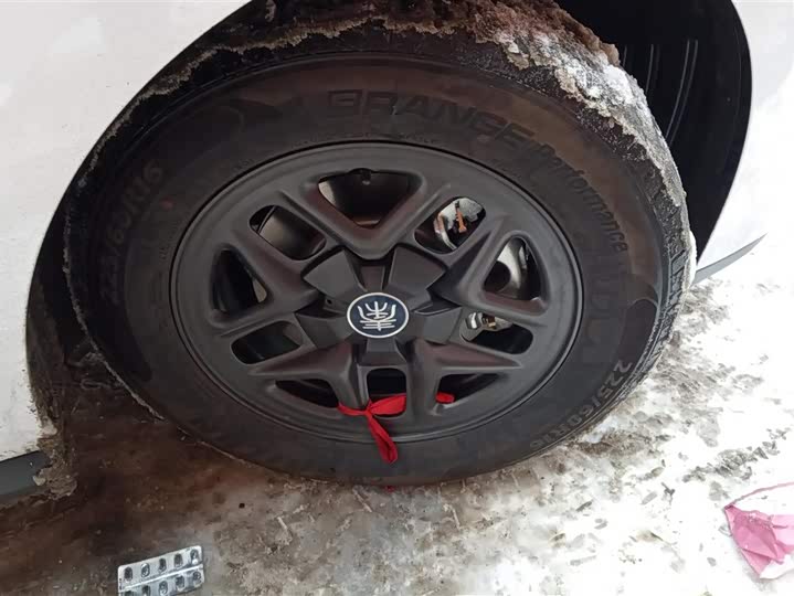 BYD Qin Plus 2025 2025款 DM-i 智驾版 55KM领先型