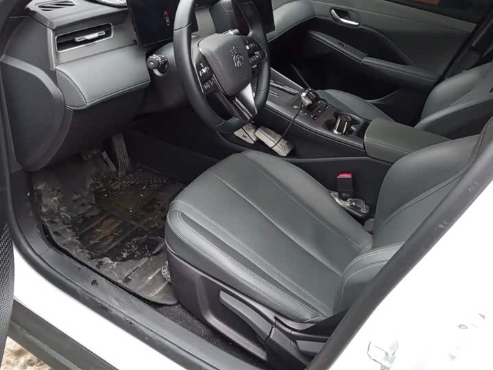 BYD Qin Plus 2025 2025款 DM-i 智驾版 55KM领先型