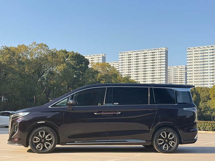 Hongqi HQ9 2023 2023款 2.0T 智联旗享版