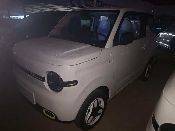 Geely Galaxy Panda Mini 2025 2025款 熊猫mini 210km 元气熊