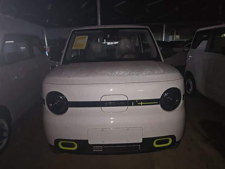 Geely Galaxy Panda Mini 2025 2025款 熊猫mini 210km 元气熊