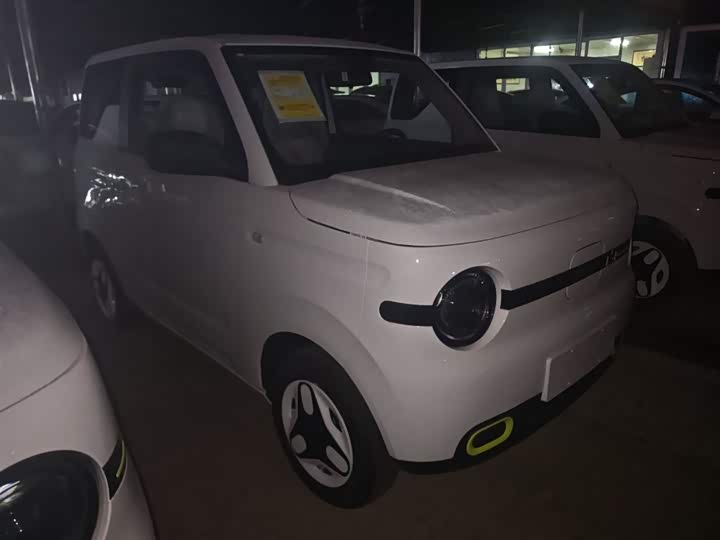 Geely Galaxy Panda Mini 2025 2025款 熊猫mini 210km 元气熊