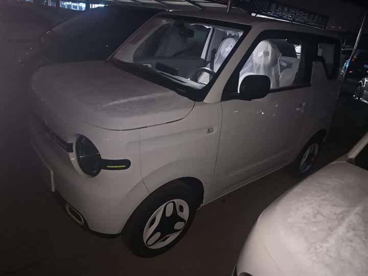 Geely Galaxy Panda Mini 2025 2025款 熊猫mini 210km 元气熊