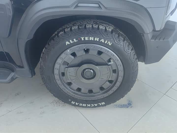 Jetour T2 2024 2024款 2.0T 四驱银龙之翼