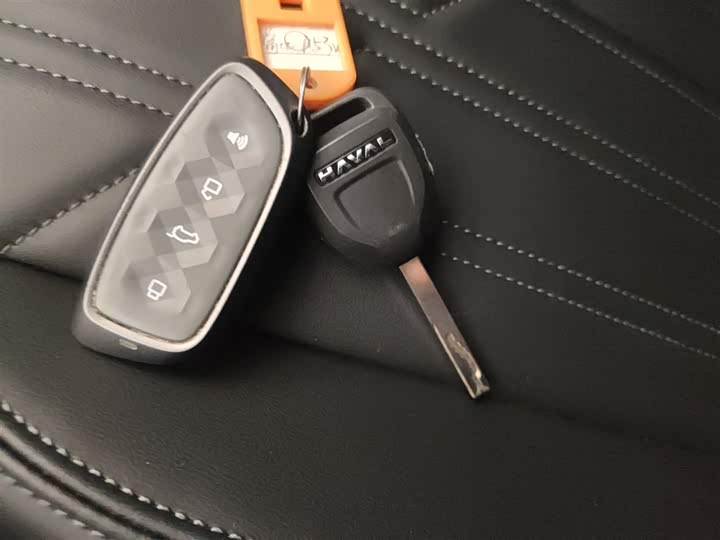 Haval H5 2023 2023款 2.0T自动四驱领英 汽油