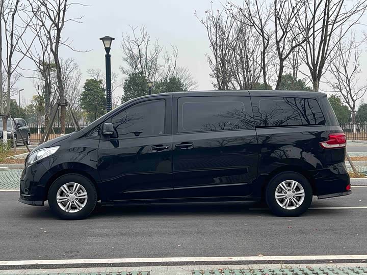 Maxus G10 2023 2023款 2.0T 手动多功能版 柴油 7座