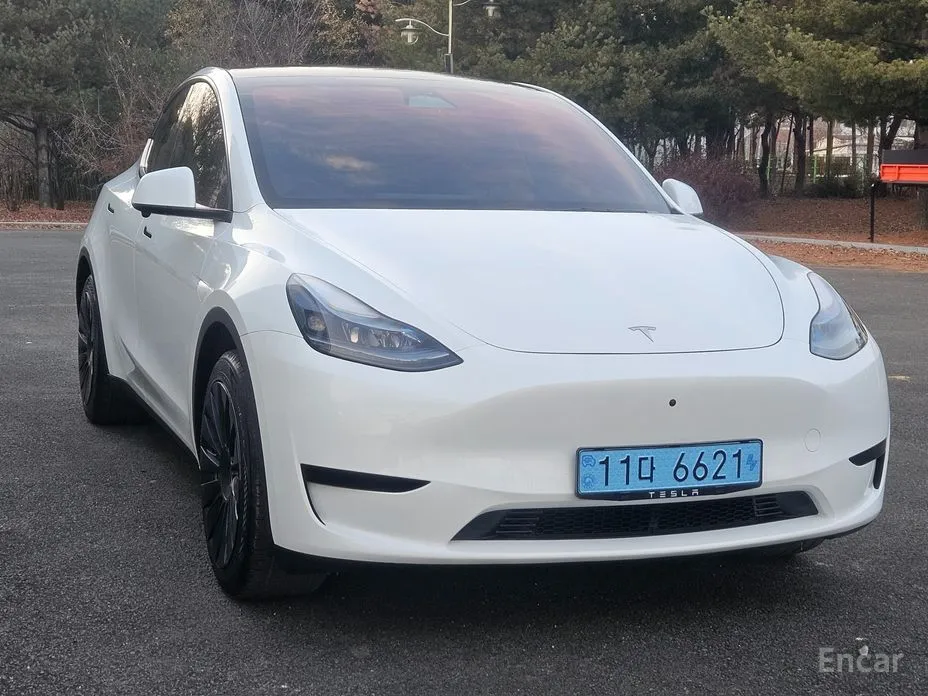 2020 Tesla Model Y