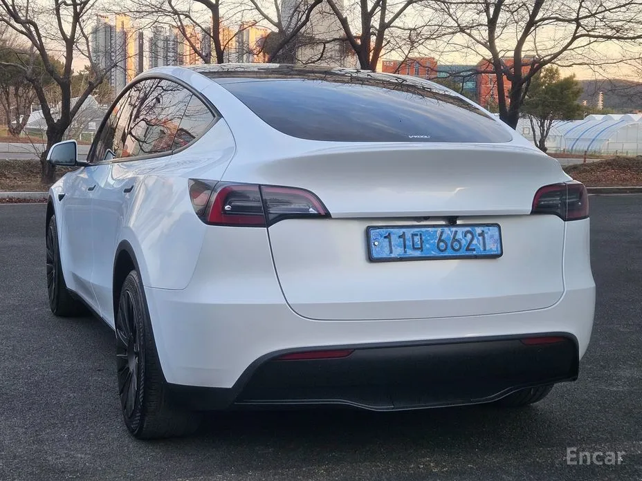 2020 Tesla Model Y