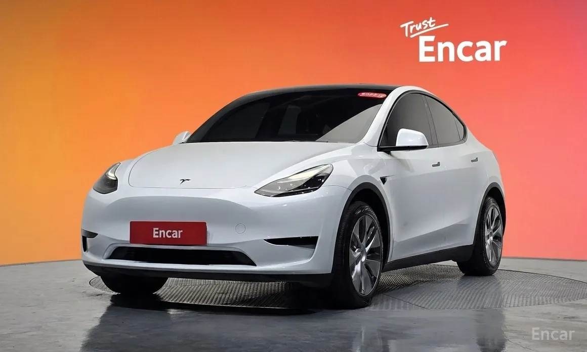 Tesla Model Y 2020 RWD