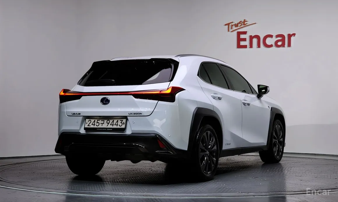 Lexus UX 2019 2.0 F-Sport 2WD