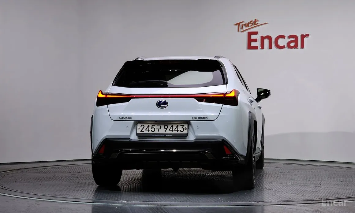 Lexus UX 2019 2.0 F-Sport 2WD