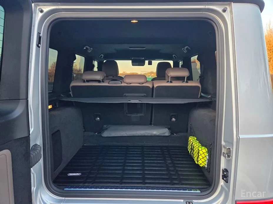 Mercedes-Benz G-Class 2024 G450d