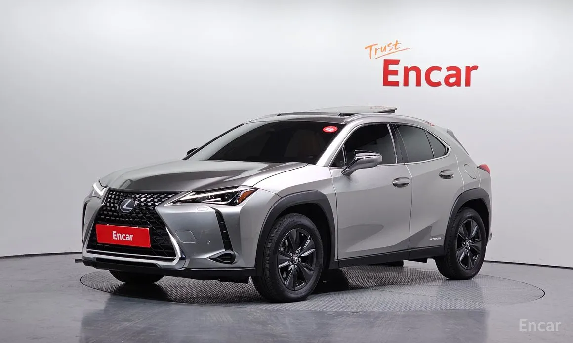 Lexus UX 2019 2.0 2WD