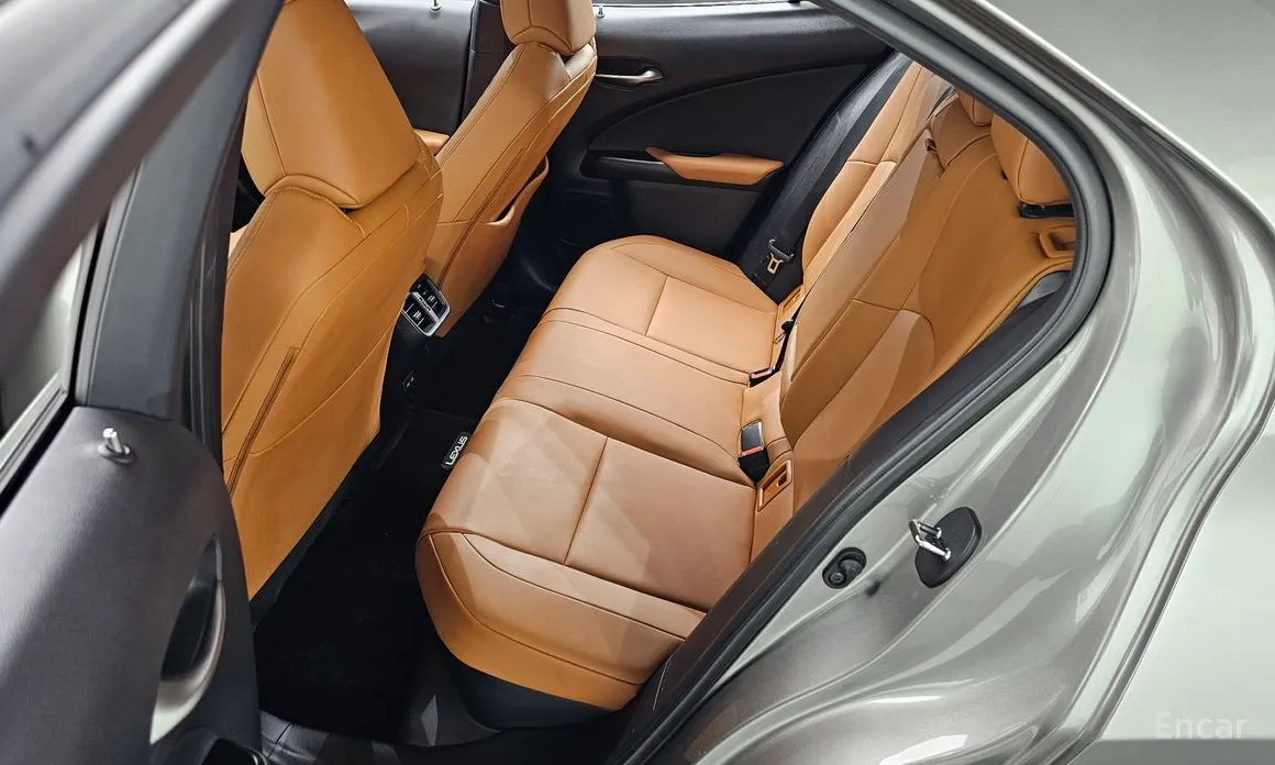 Lexus UX 2019 2.0 2WD