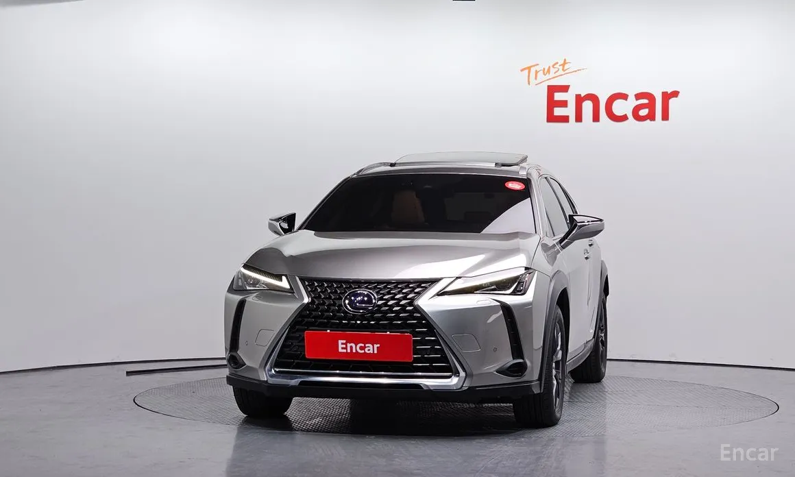 Lexus UX 2019 2.0 2WD