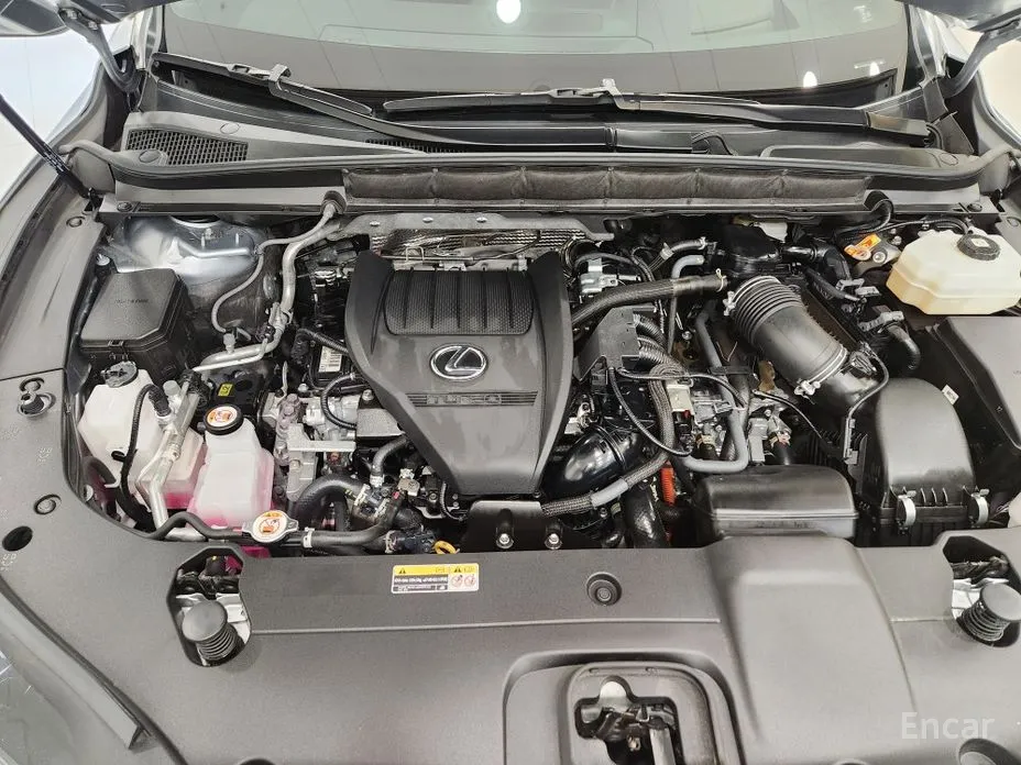 Lexus RX 2023 F-Sport