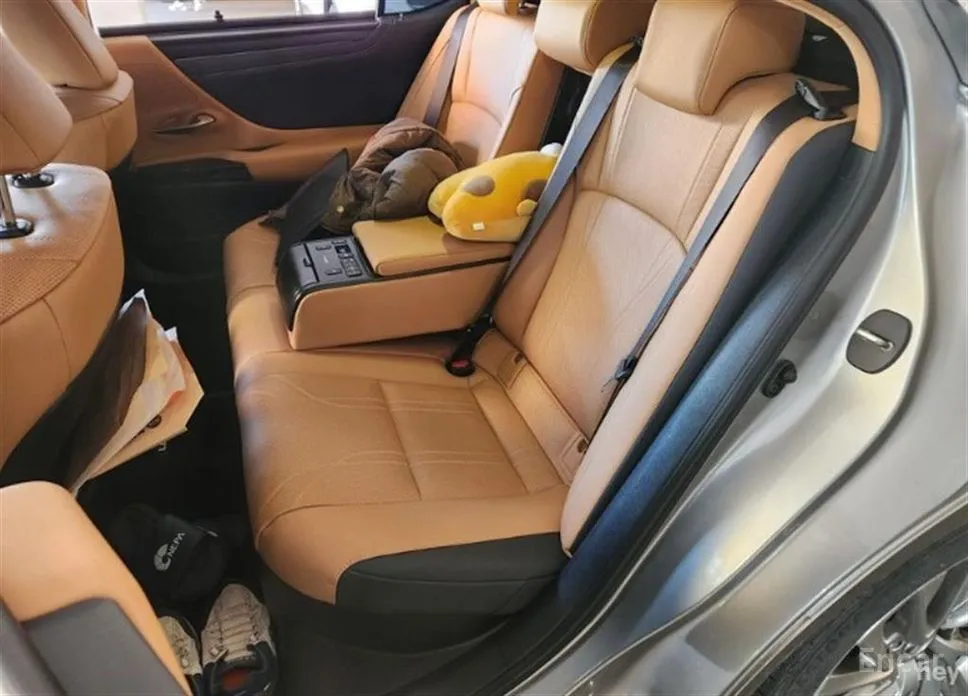 Lexus ES 2018 Luxury Plus