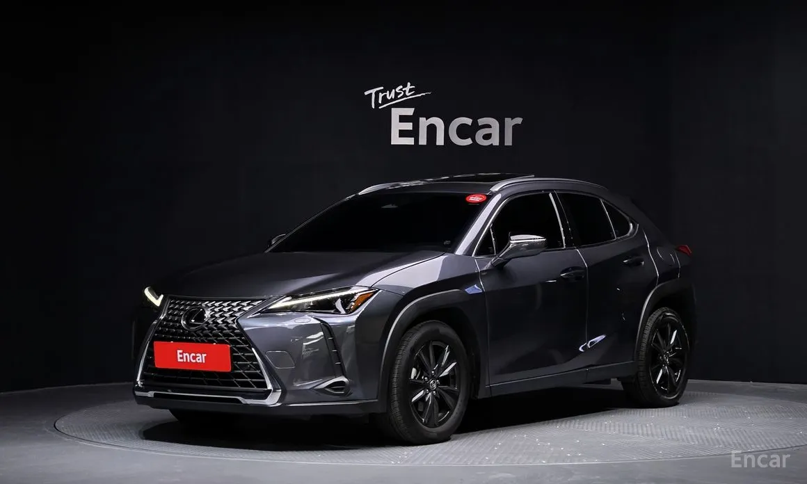 2024 Lexus UX