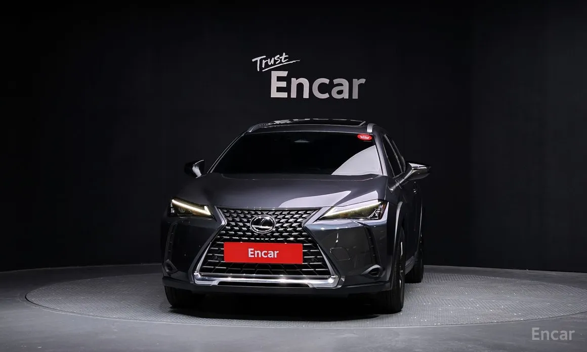 2024 Lexus UX