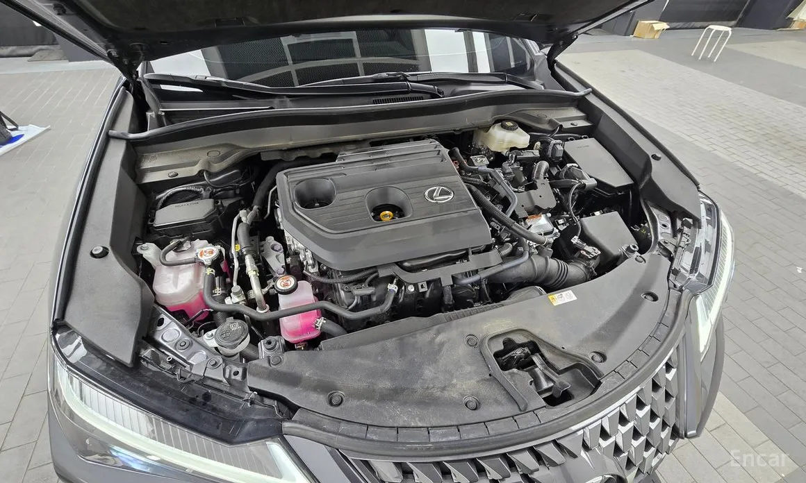 Lexus UX 2024 2.0 2WD