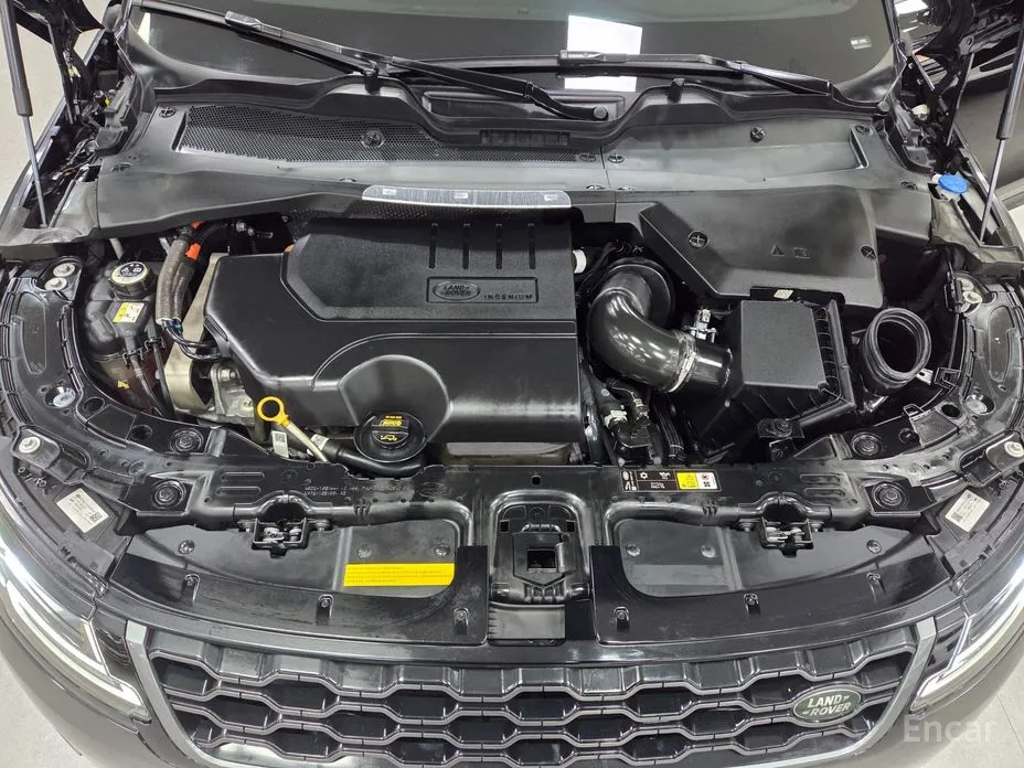 Land Rover Range Rover Evoque 2019 P250 R-Dynamic SE