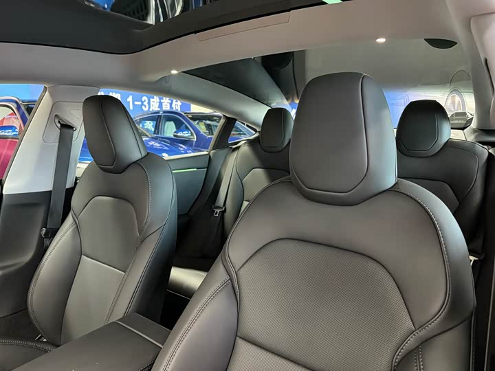 Tesla Model 3 2025 2025款 改款 长续航全轮驱动版