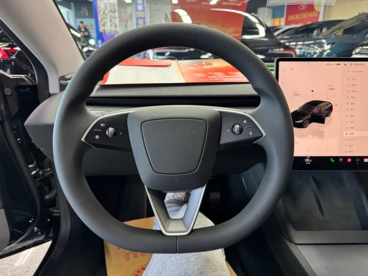Tesla Model 3 2025 2025款 改款 长续航全轮驱动版