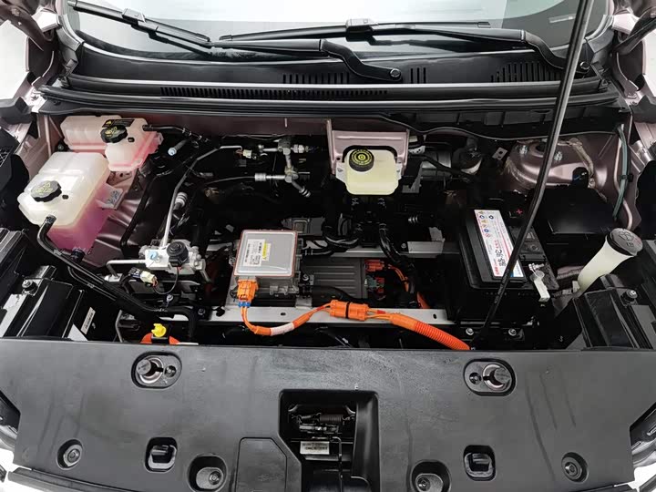 BYD Yuan Pro 2023 2023款 401KM豪华型