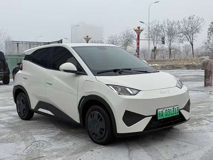 BYD Seagull 2025 2025款 智驾版 305km 活力版