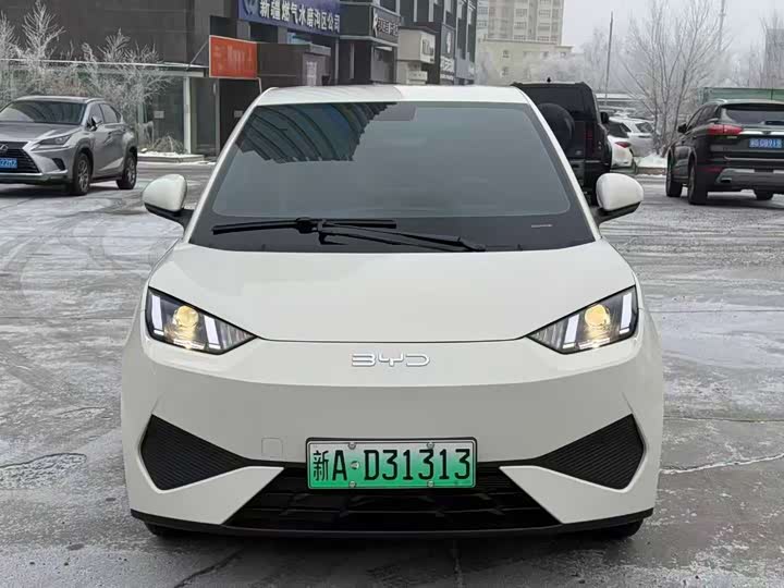 BYD Seagull 2025 2025款 智驾版 305km 活力版