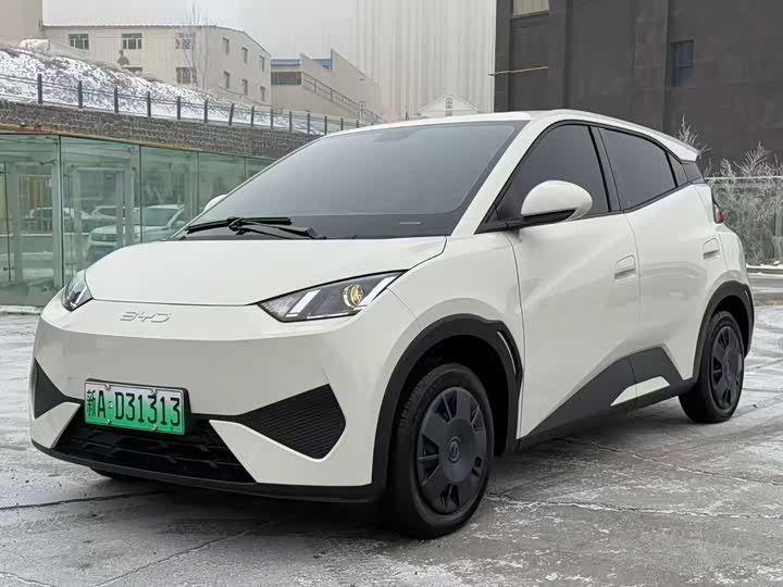 BYD Seagull 2025 2025款 智驾版 305km 活力版