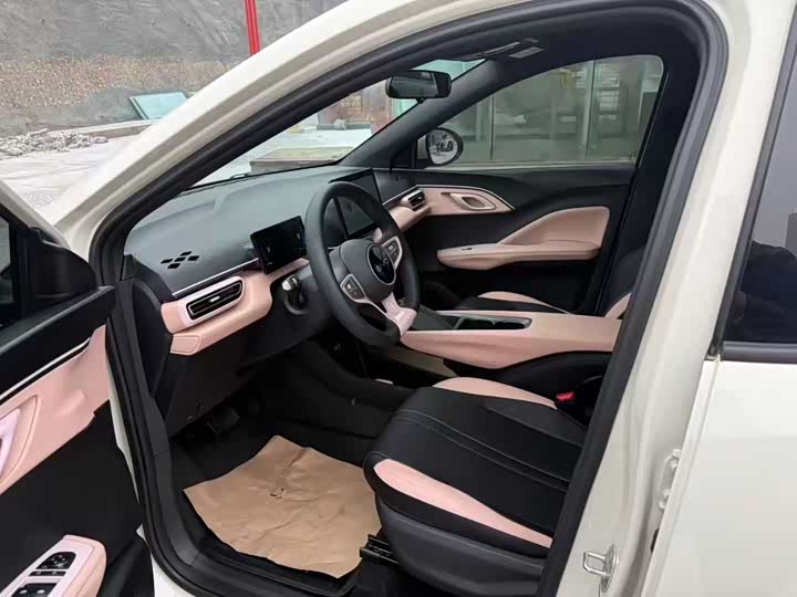 BYD Seagull 2025 2025款 智驾版 305km 活力版