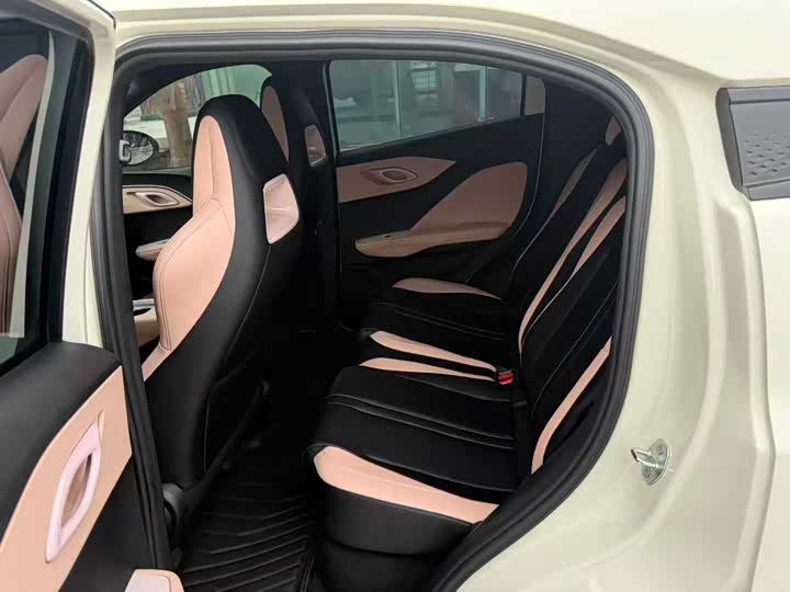 BYD Seagull 2025 2025款 智驾版 305km 活力版