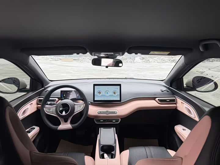 BYD Seagull 2025 2025款 智驾版 305km 活力版