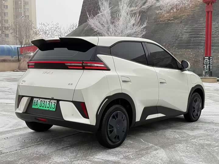 BYD Seagull 2025 2025款 智驾版 305km 活力版