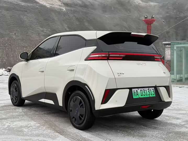 BYD Seagull 2025 2025款 智驾版 305km 活力版