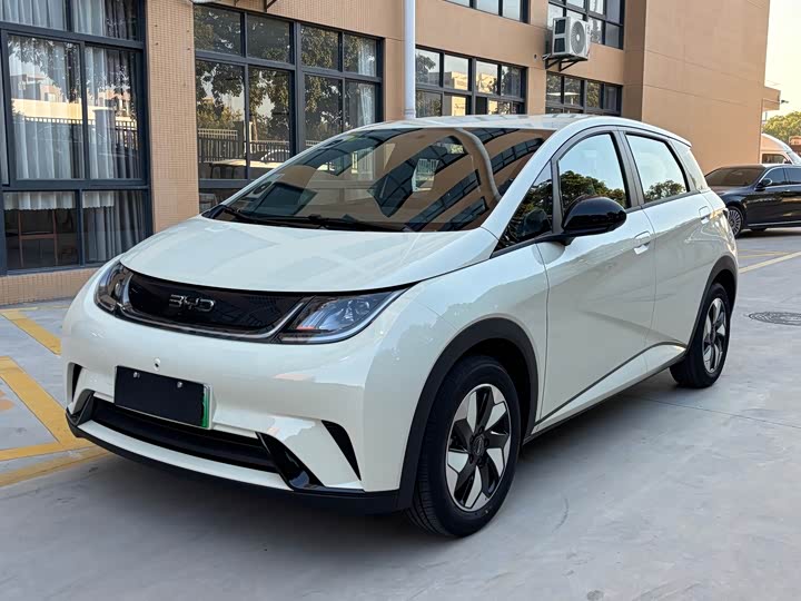 2025 BYD Dolphin