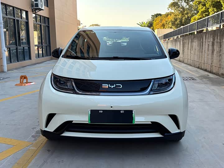 2025 BYD Dolphin