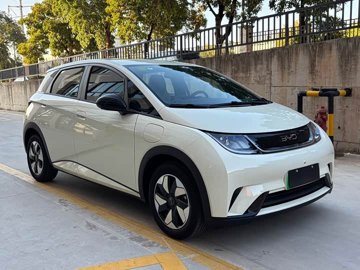 2025 BYD Dolphin